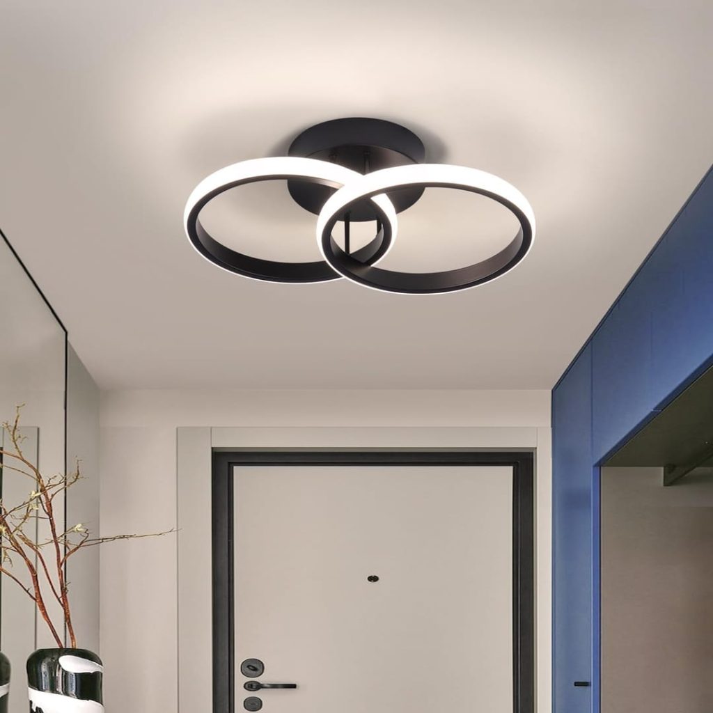 EIDISUNY LED Ceiling Light Modern Ceiling Lamp